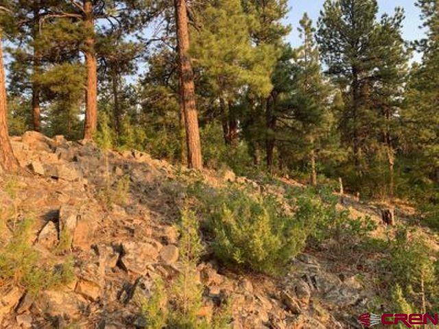 199 Meadow Lane Ridgway, CO 81432 - Photo 14 of 25