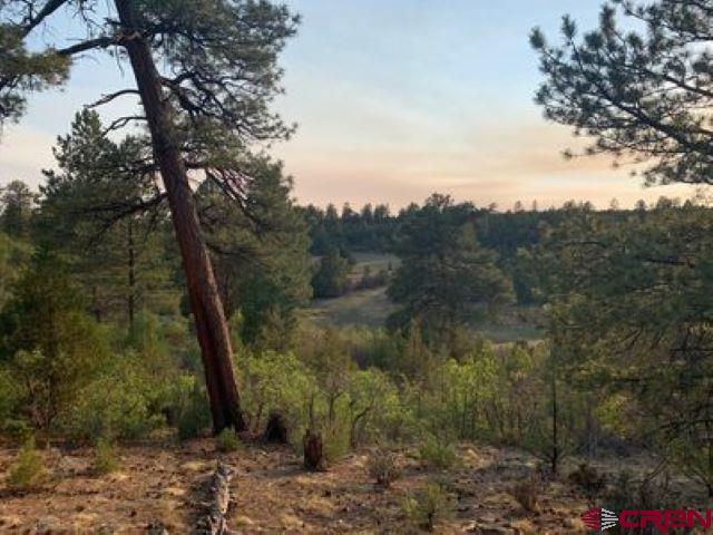 199 Meadow Lane Ridgway, CO 81432 - Photo 15 of 25