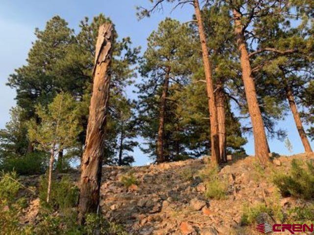 199 Meadow Lane Ridgway, CO 81432 - Photo 16 of 25