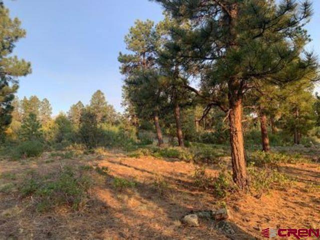 199 Meadow Lane Ridgway, CO 81432 - Photo 17 of 25