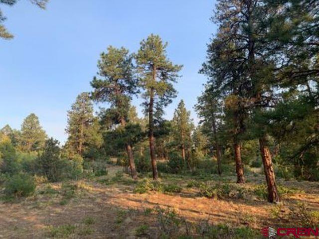 199 Meadow Lane Ridgway, CO 81432 - Photo 18 of 25