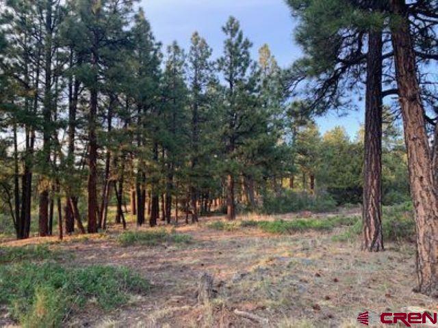 199 Meadow Lane Ridgway, CO 81432 - Photo 19 of 25