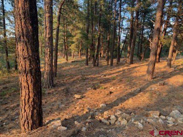 199 Meadow Lane Ridgway, CO 81432 - Photo 20 of 25