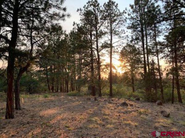 199 Meadow Lane Ridgway, CO 81432 - Photo 2 of 25