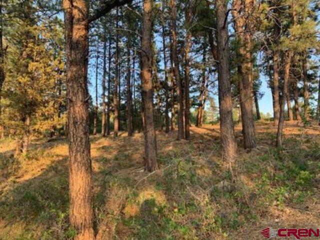 199 Meadow Lane Ridgway, CO 81432 - Photo 21 of 25