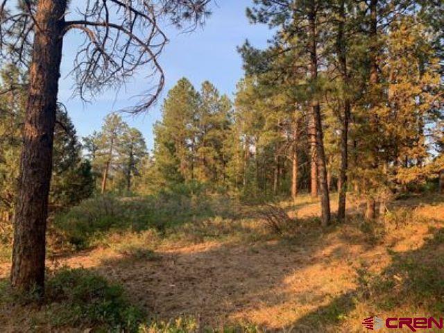 199 Meadow Lane Ridgway, CO 81432 - Photo 22 of 25