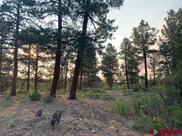 199 Meadow Lane Ridgway, CO 81432 - Photo 23 of 25