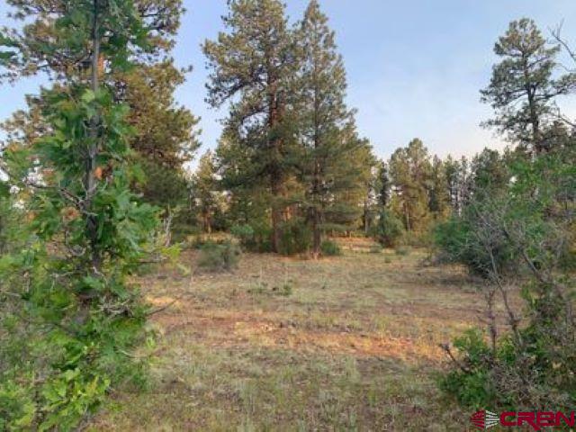 199 Meadow Lane Ridgway, CO 81432 - Photo 24 of 25