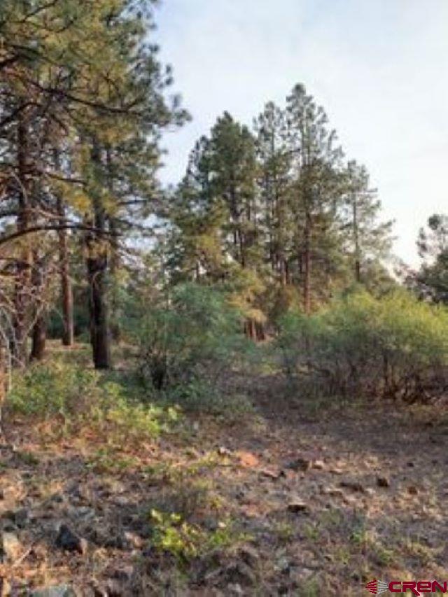 199 Meadow Lane Ridgway, CO 81432 - Photo 25 of 25