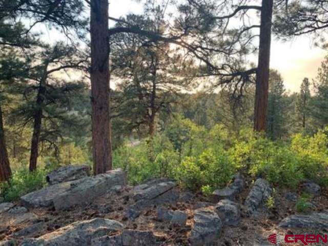 199 Meadow Lane Ridgway, CO 81432 - Photo 3 of 25