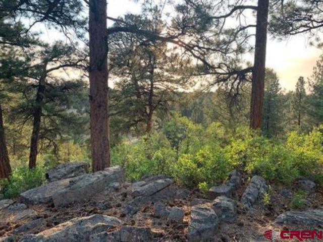 199 Meadow Lane Ridgway, CO 81432 - Photo 4 of 25