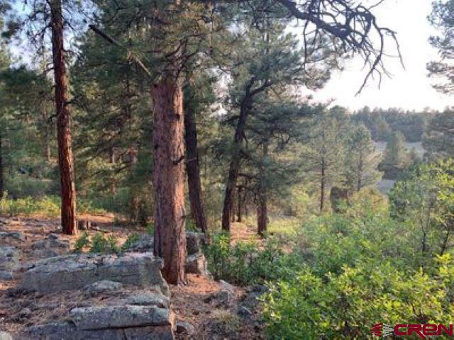 199 Meadow Lane Ridgway, CO 81432 - Photo 5 of 25