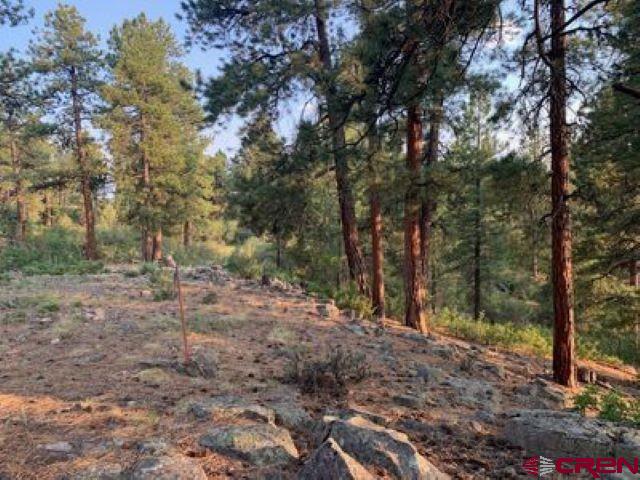 199 Meadow Lane Ridgway, CO 81432 - Photo 6 of 25