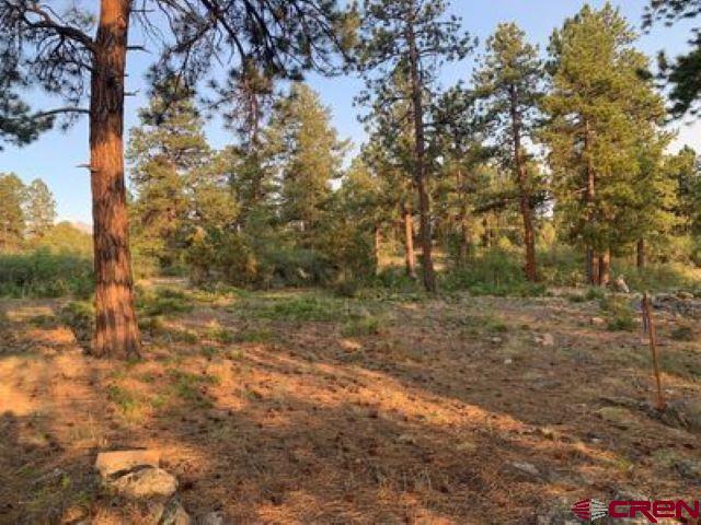 199 Meadow Lane Ridgway, CO 81432 - Photo 7 of 25