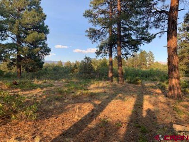 199 Meadow Lane Ridgway, CO 81432 - Photo 8 of 25