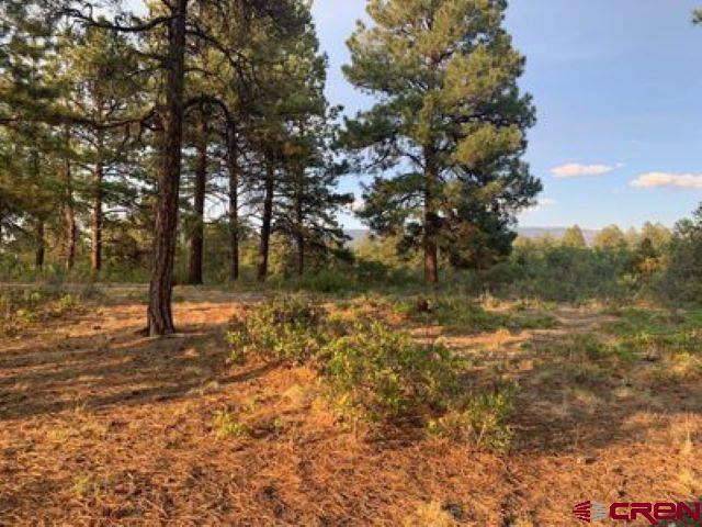 199 Meadow Lane Ridgway, CO 81432 - Photo 9 of 25