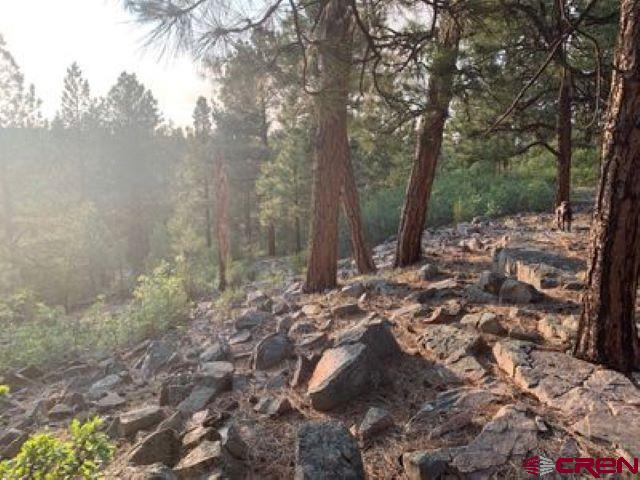 199 Meadow Lane Ridgway, CO 81432 - Photo 10 of 25