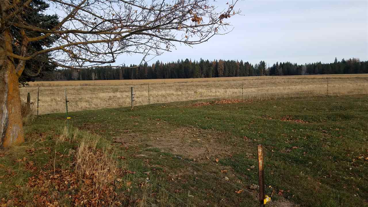 37516 North Spotted Road Deer Park, WA 99006 - Photo 14 of 16