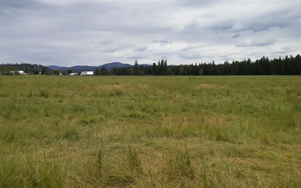 37516 North Spotted Road Deer Park, WA 99006 - Photo 15 of 16