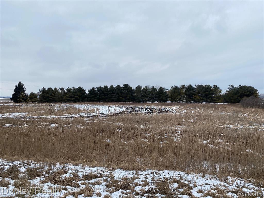 0 Maple Valley Road Brown City, MI 48416 - Photo 1 of 4