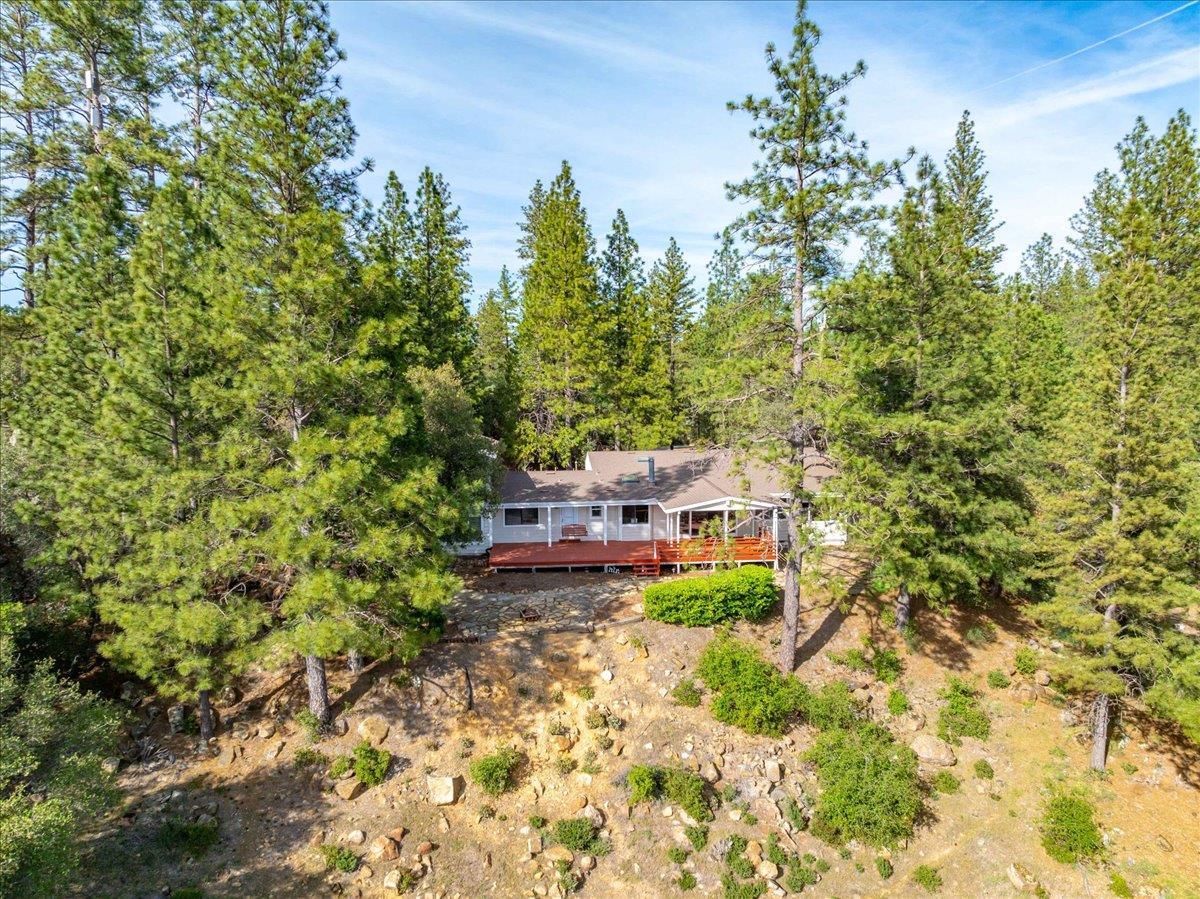 3610 Sugar View Road Meadow Vista, CA 95722 - Photo 15 of 61