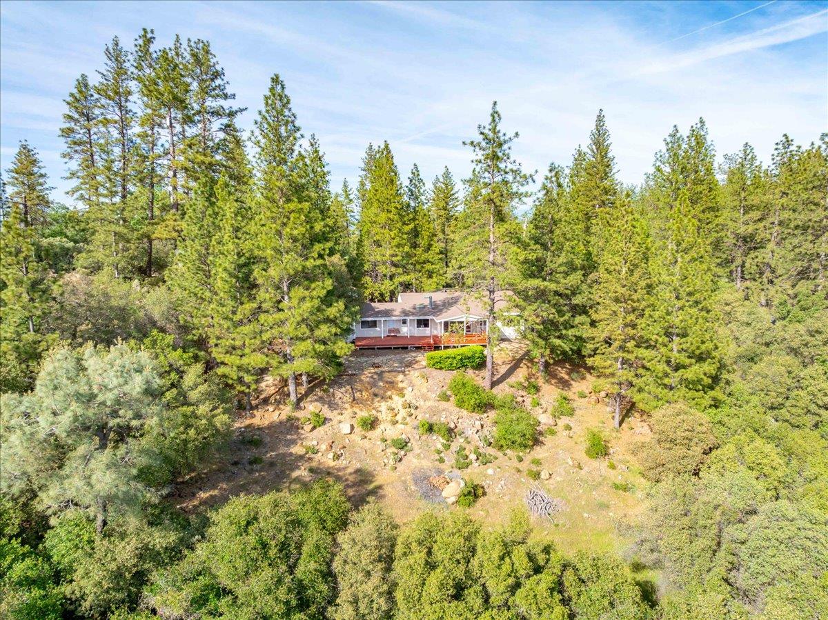 3610 Sugar View Road Meadow Vista, CA 95722 - Photo 50 of 61