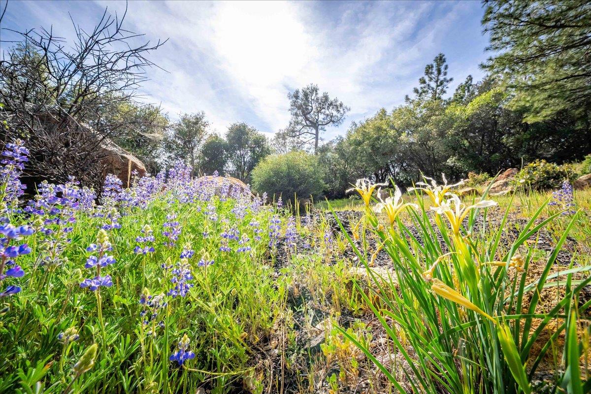 3610 Sugar View Road Meadow Vista, CA 95722 - Photo 54 of 61