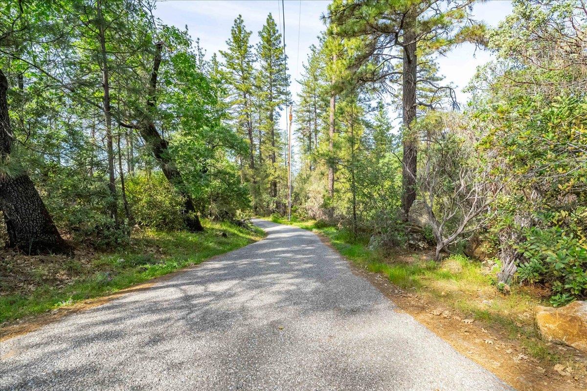 3610 Sugar View Road Meadow Vista, CA 95722 - Photo 55 of 61