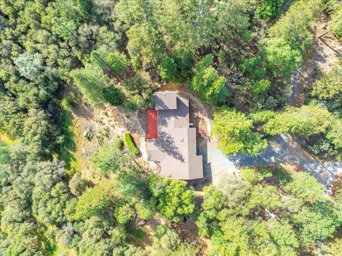 3610 Sugar View Road Meadow Vista, CA 95722 - Photo 56 of 61