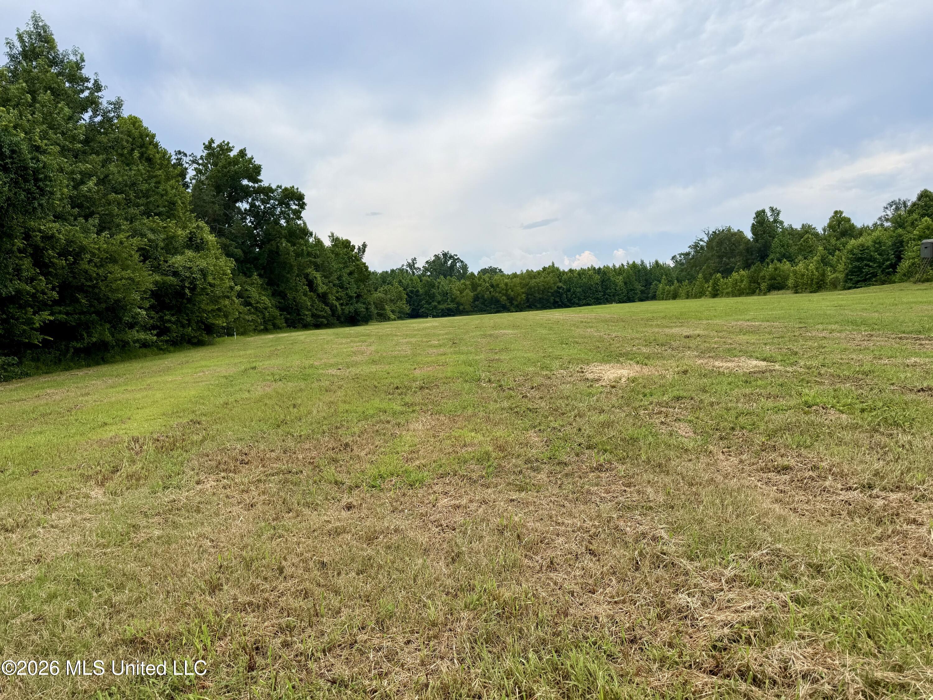 568 Smith-Bailey Road Durant, MS 39063 - Photo 33 of 81 Photo Jul 02 2026, 2 09 30 PM
