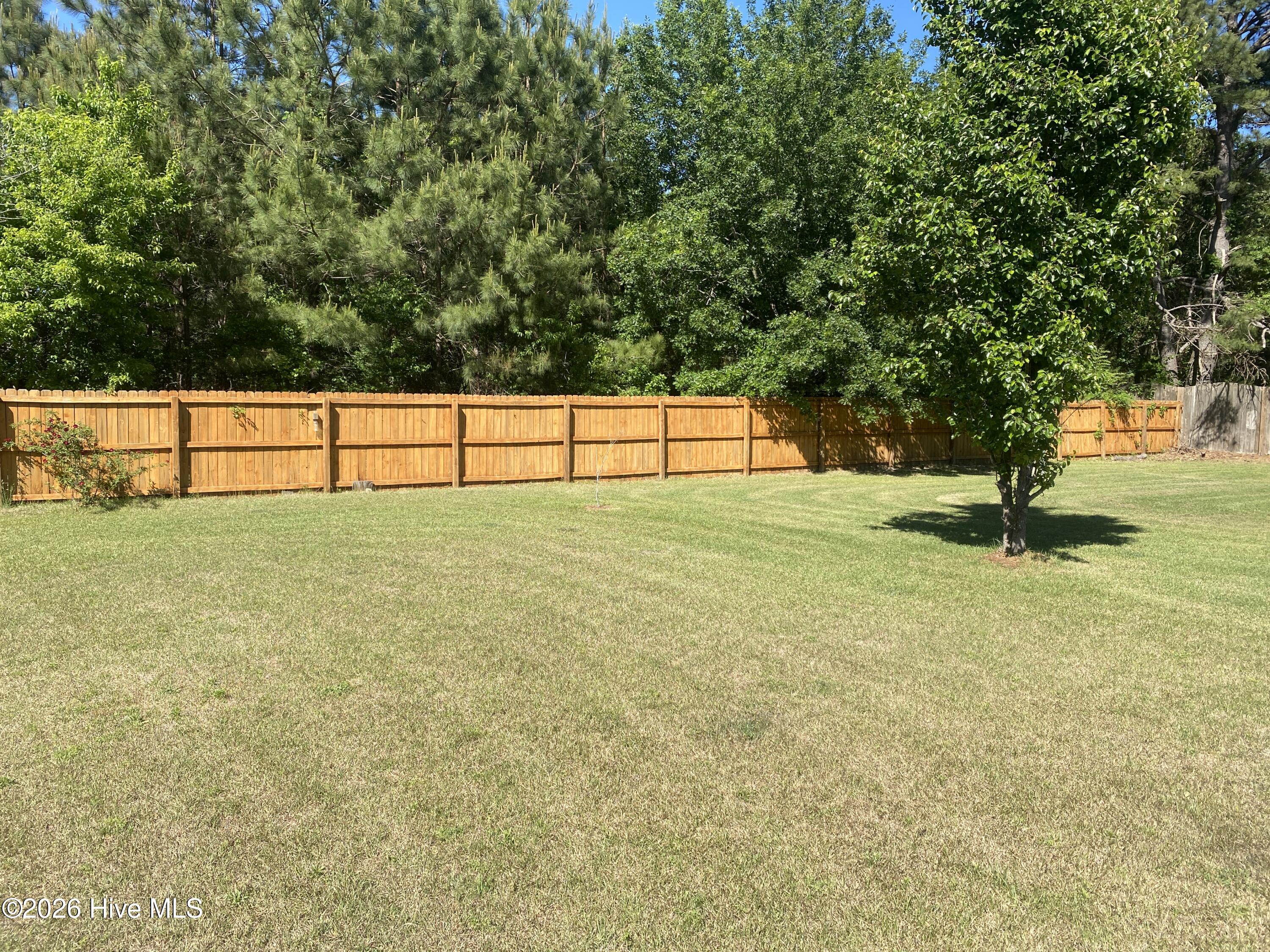 476 Patsy Drive Greenville, NC 27858 - Photo 4 of 25 back yard view 1