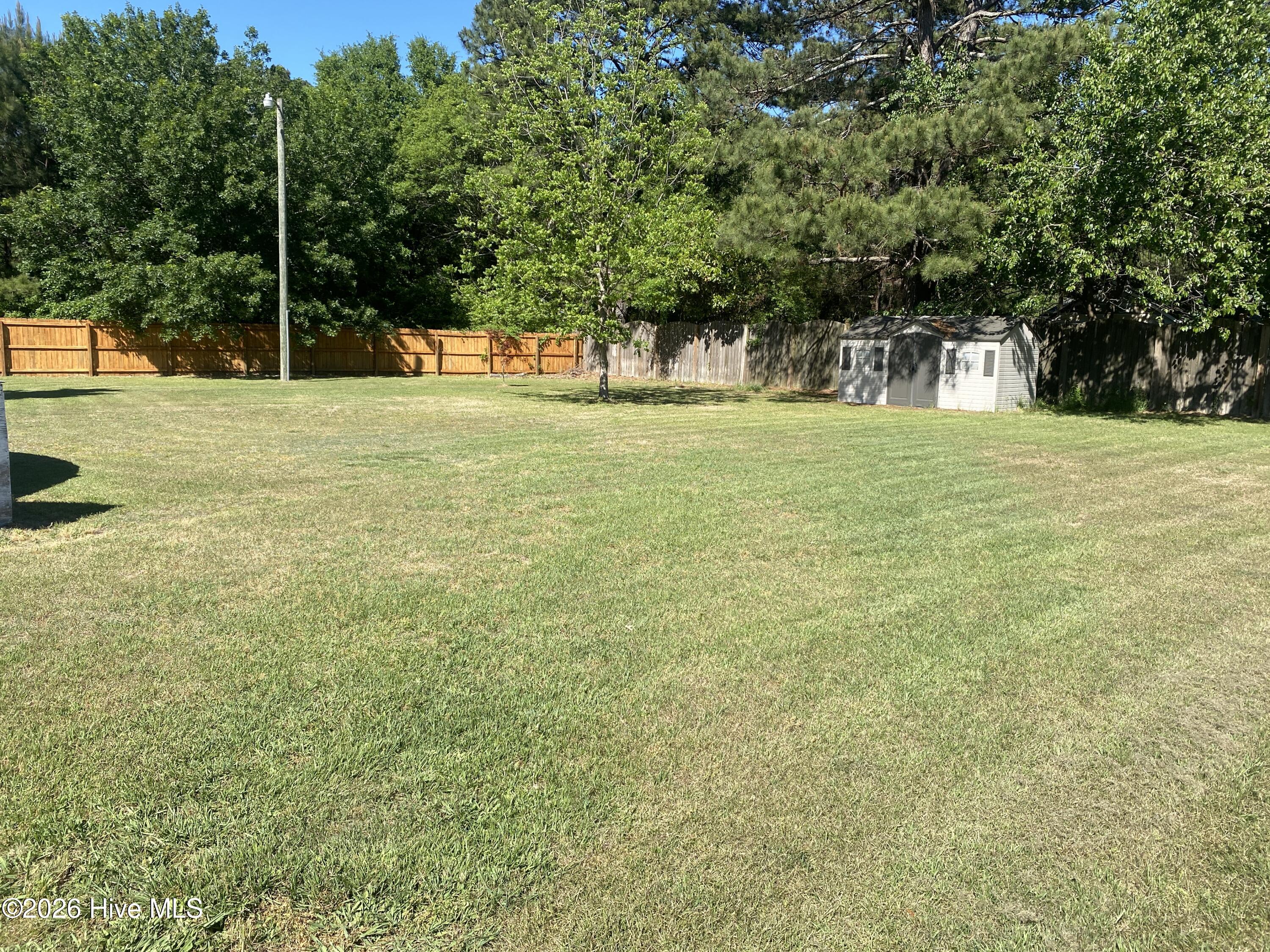476 Patsy Drive Greenville, NC 27858 - Photo 5 of 25 back yard view 2