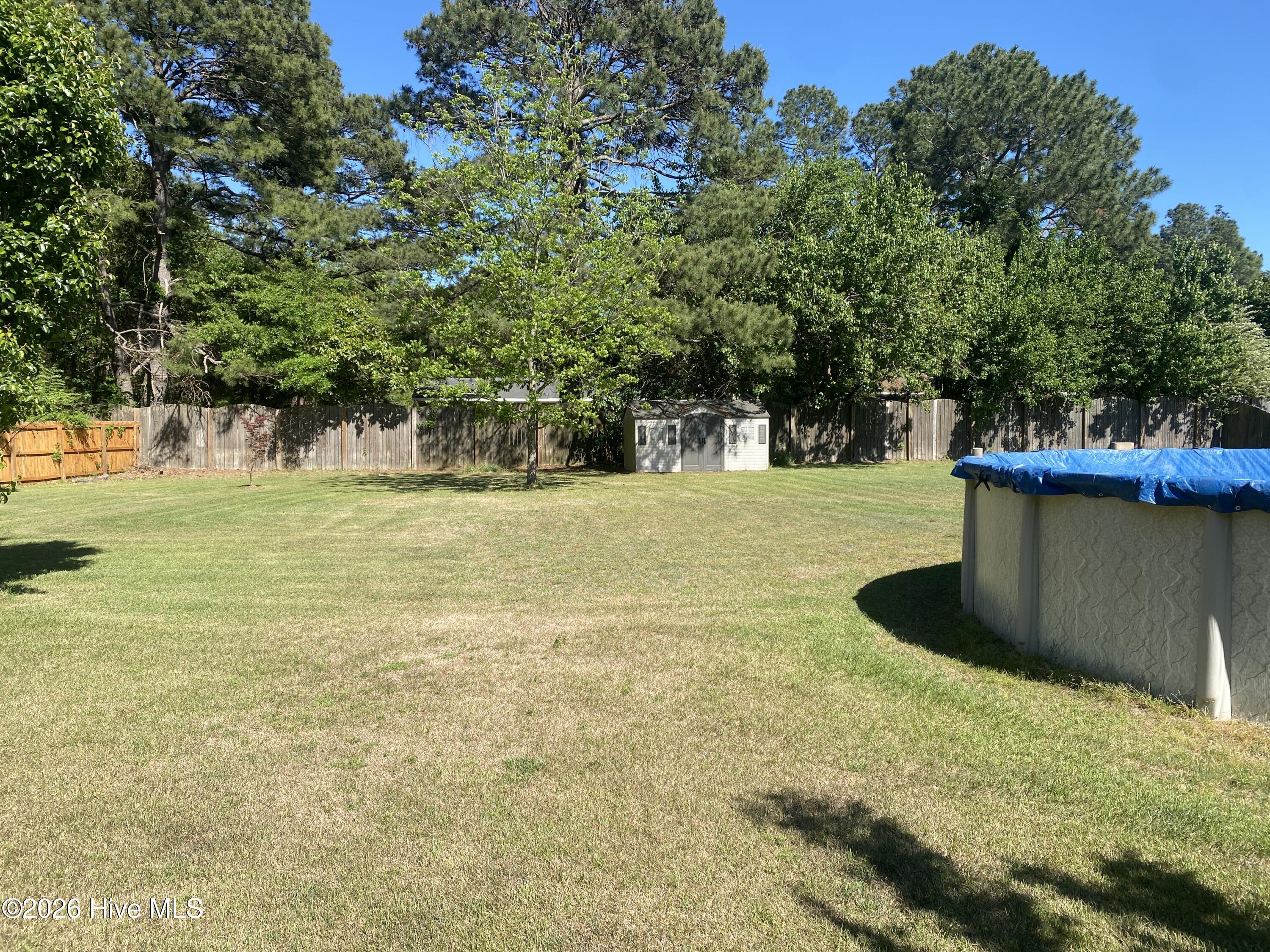 476 Patsy Drive Greenville, NC 27858 - Photo 6 of 25 back yard view 3