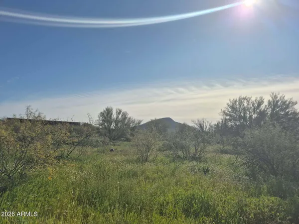 a view of a field of grass and trees