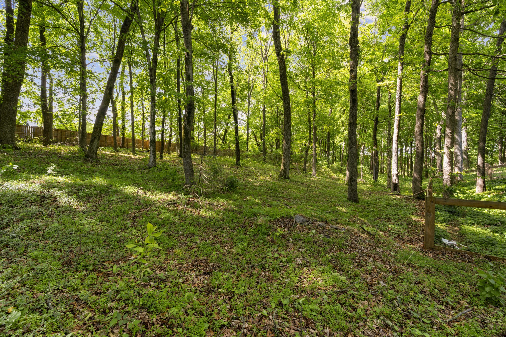7339 Chowning Road Springfield, TN 37172 - Photo 45 of 49