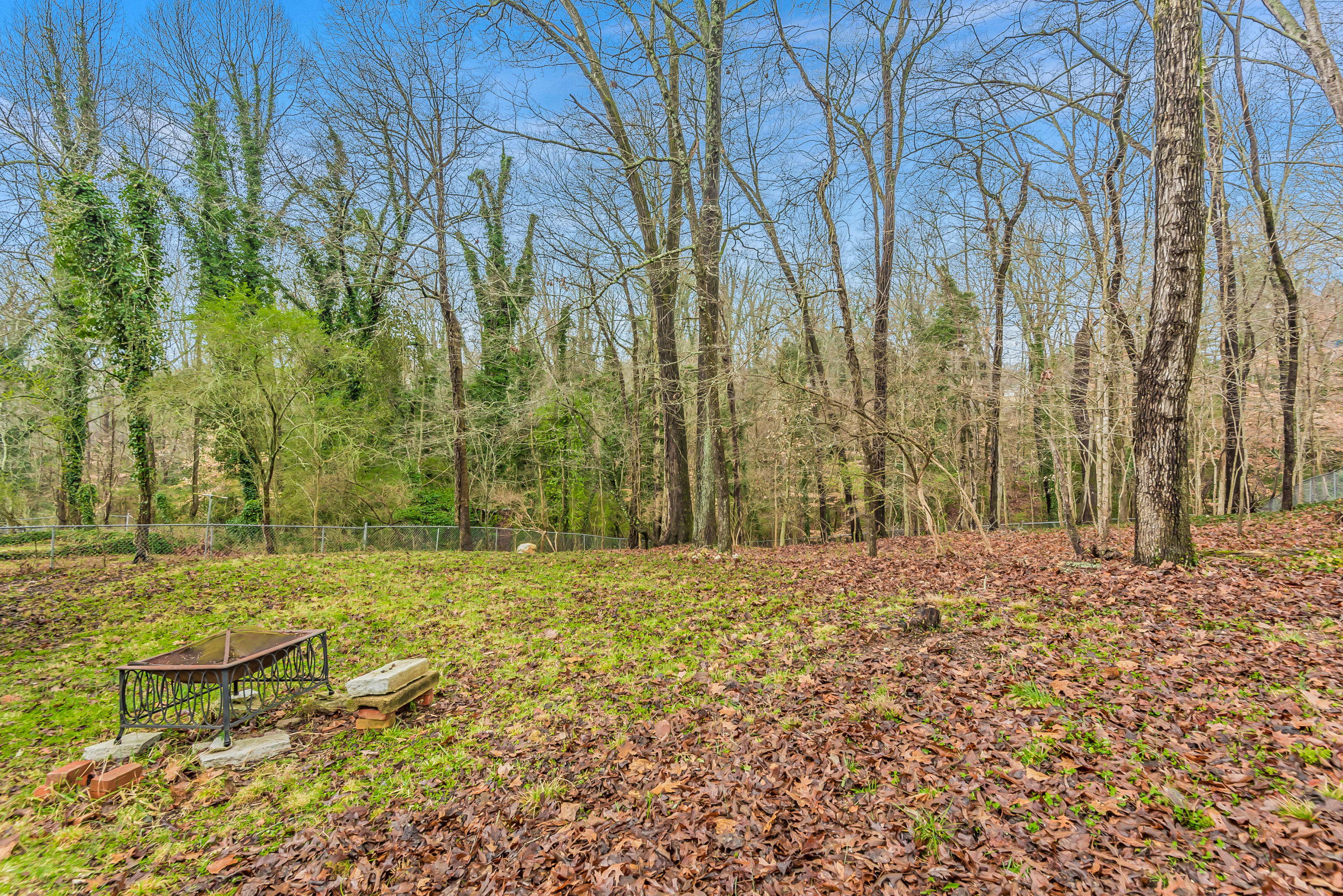 113 Kentucky Avenue Oak Ridge, TN 37830 - Photo 29 of 30 113KentuckyAve-18
