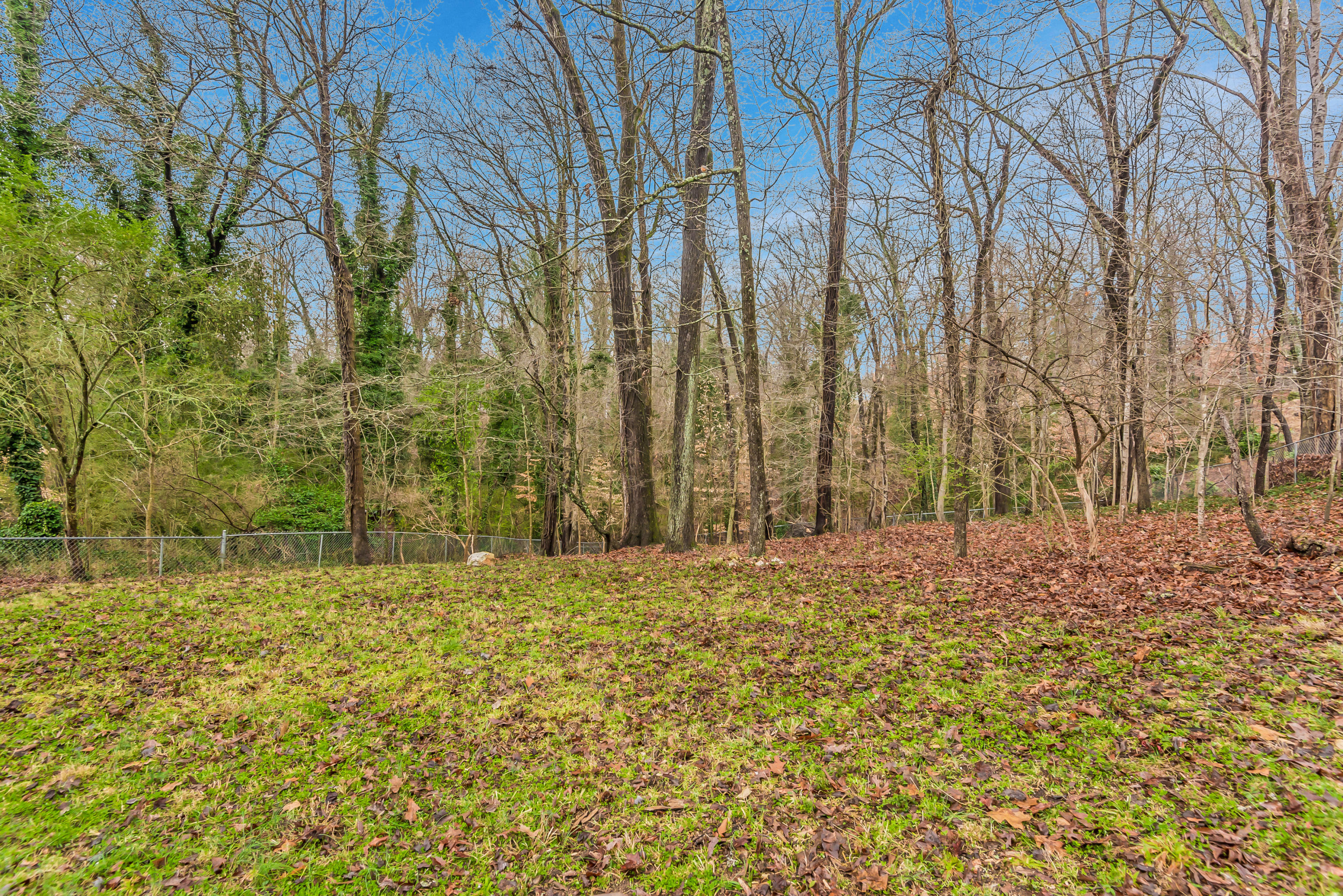 113 Kentucky Avenue Oak Ridge, TN 37830 - Photo 30 of 30 113KentuckyAve-21