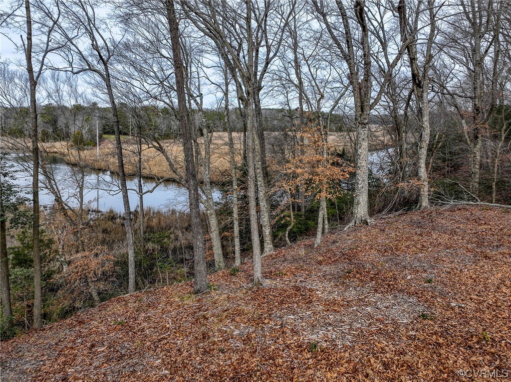 7097 Ware House Road Gloucester, VA 23061 - Photo 13 of 49 a view of a forest filled with trees