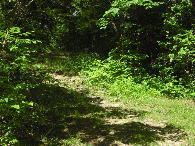 3201 St Johns Road Frankfort, KY 40601 - Photo 5 of 54 Photo 5