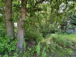 138 Beach Road Salisbury, MA 01952 - Photo 7 of 9 a view of a lush green forest
