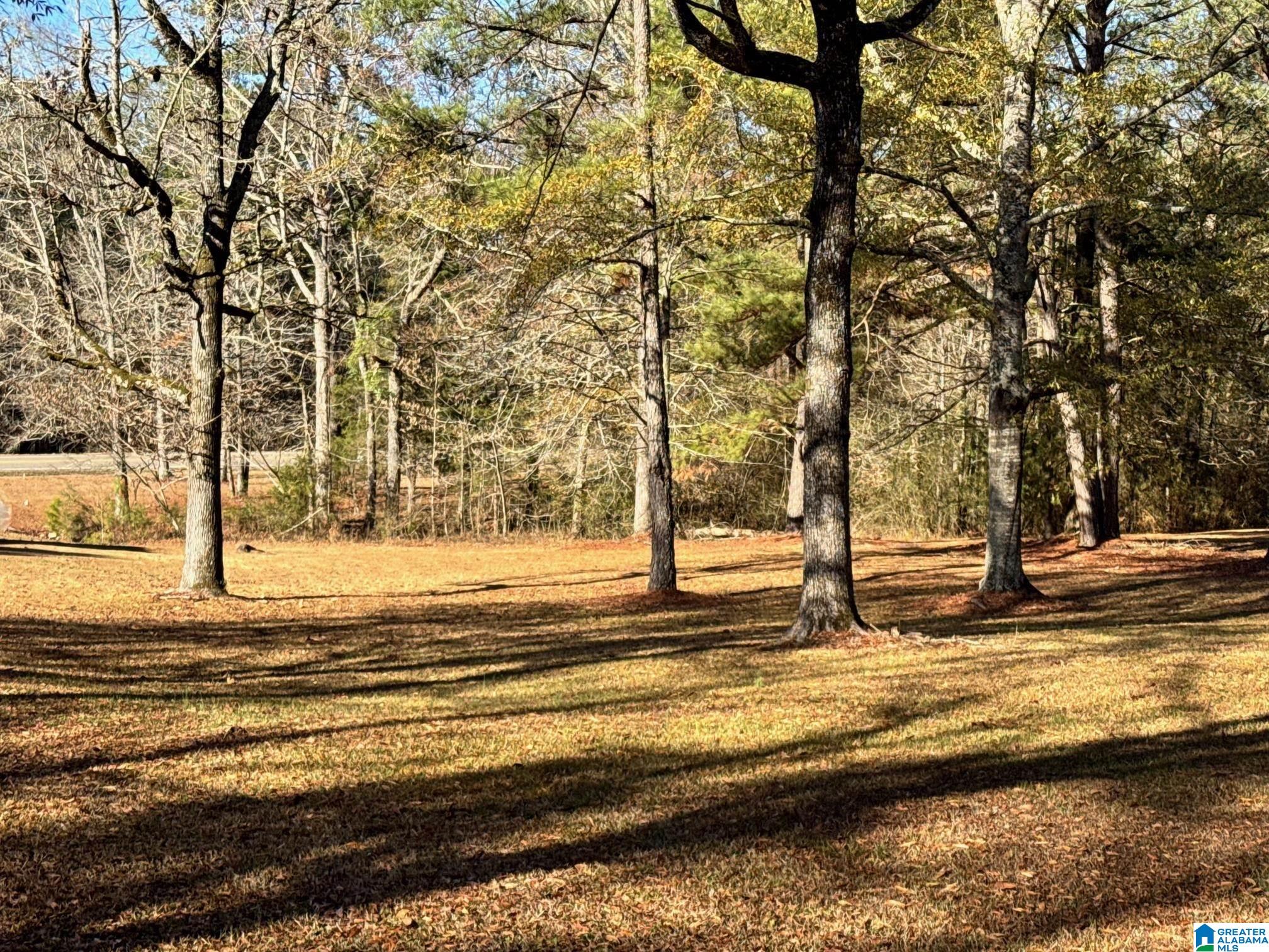 958 Chelsea Road Columbiana, AL 35051 - Photo 9 of 16
