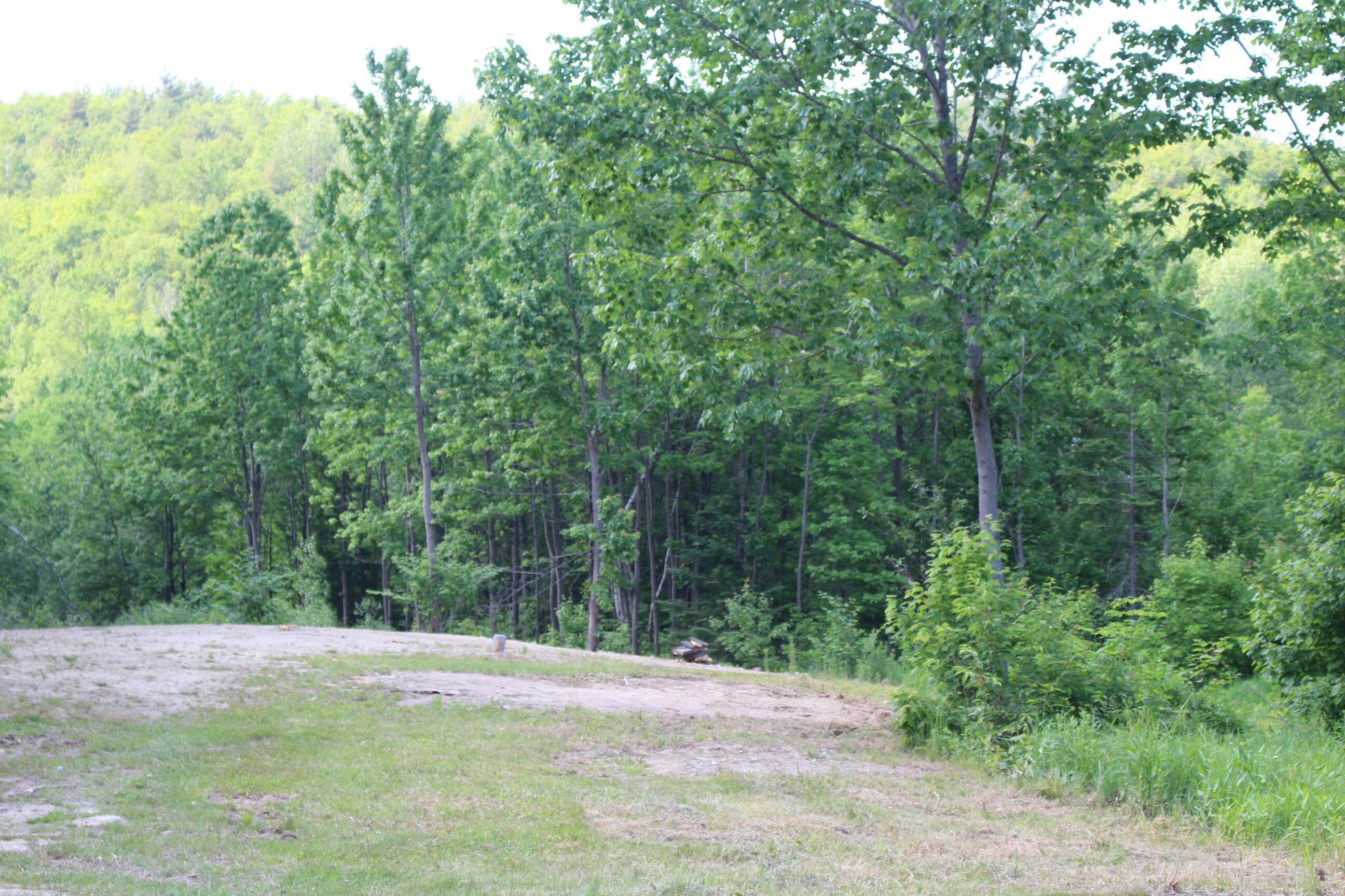 873 Dickvale Road Peru, ME 04290 - Photo 12 of 17 IMG_6099