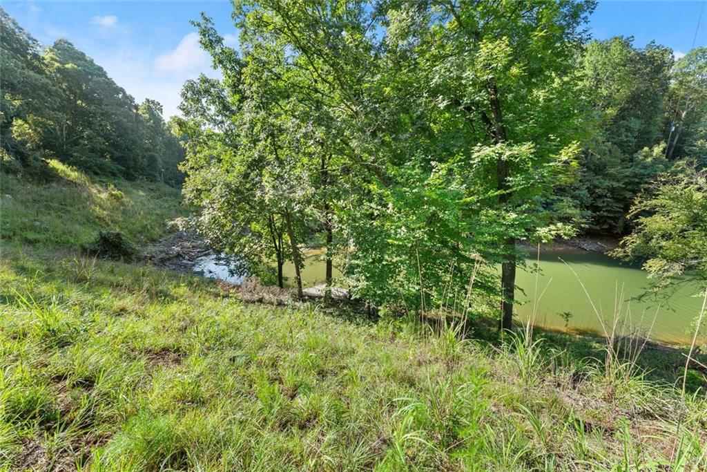3199 Lotheridge Road Gainesville, GA 30501 - Photo 7 of 13 a view of a garden