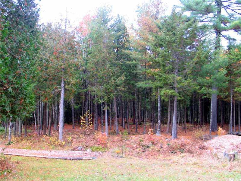 362 Ellsworth Road Blue Hill, ME 04614 - Photo 5 of 20 Yard/Garden.