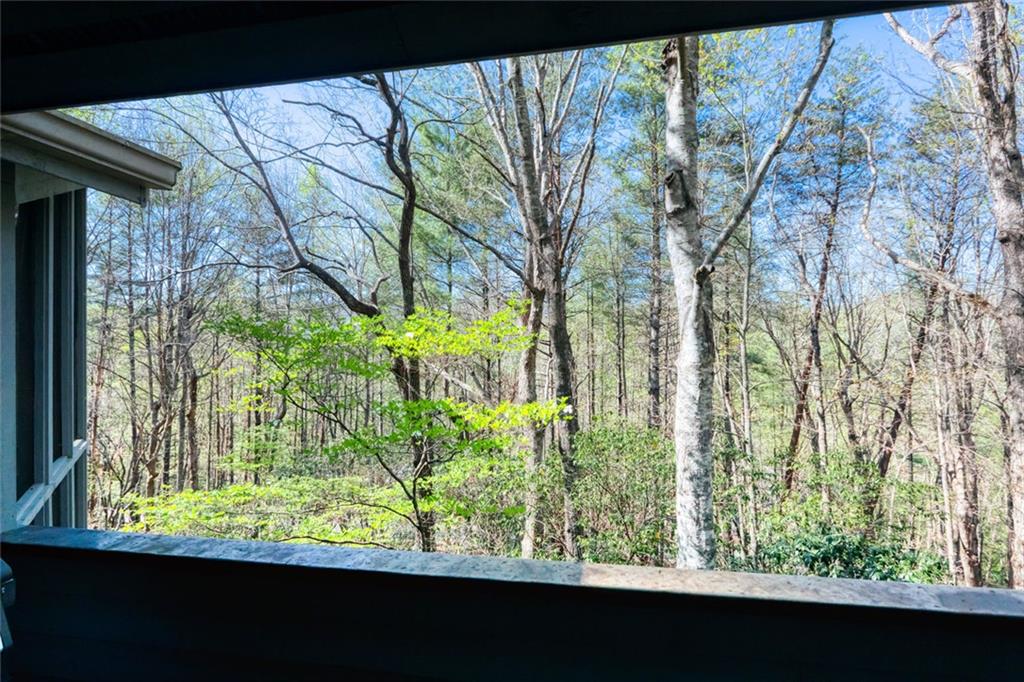 70 Doe Run Sautee Nacoochee, GA 30571 - Photo 45 of 76