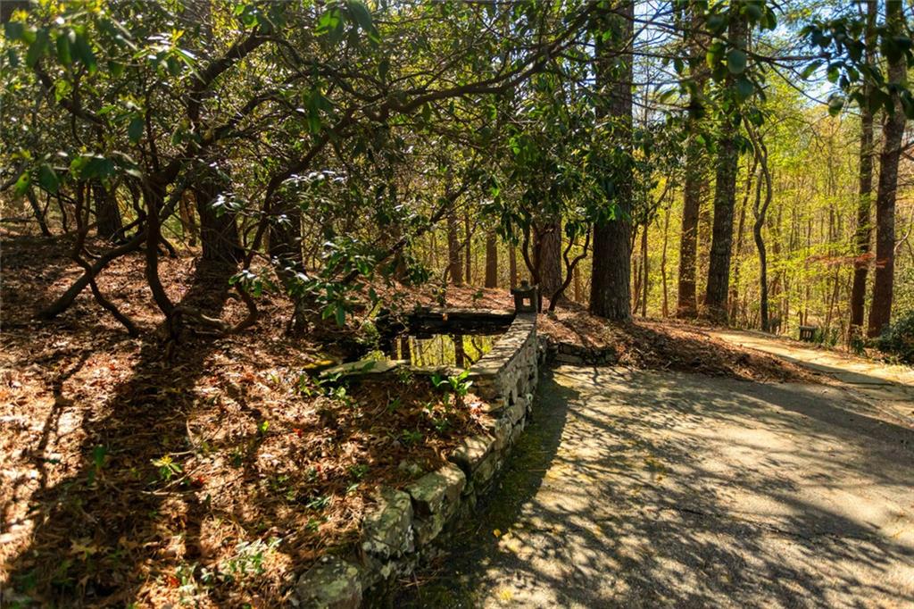 70 Doe Run Sautee Nacoochee, GA 30571 - Photo 9 of 76