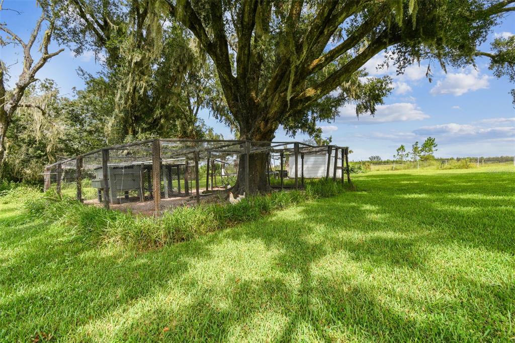 33937 St Benedict Road San Antonio, FL 33576 - Photo 46 of 58 a view of house with a yard
