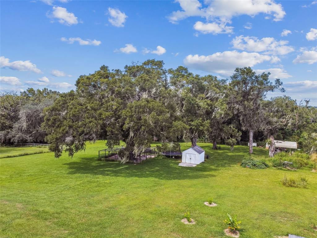 33937 St Benedict Road San Antonio, FL 33576 - Photo 55 of 58 a backyard of a house with a yard and outdoor seating