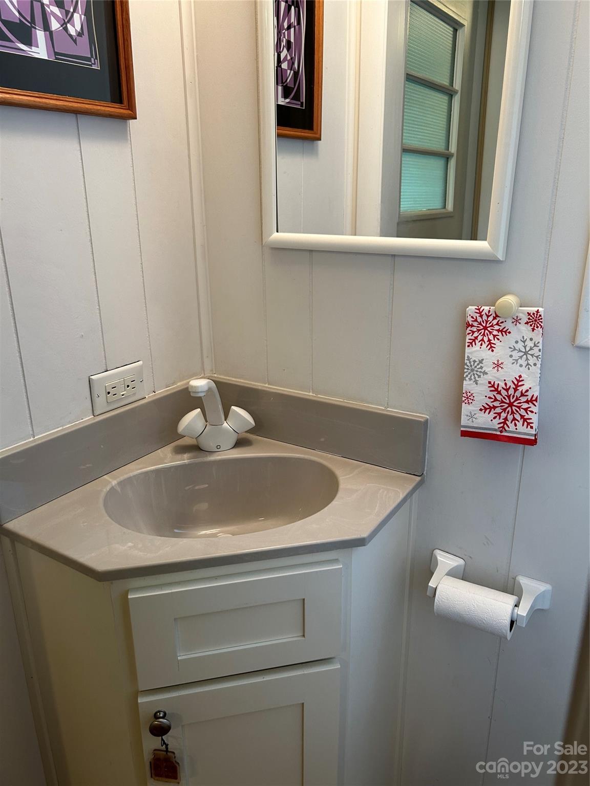 428 Brandon Road Hendersonville, NC 28739 - Photo 24 of 48 a bathroom with a sink and a mirror