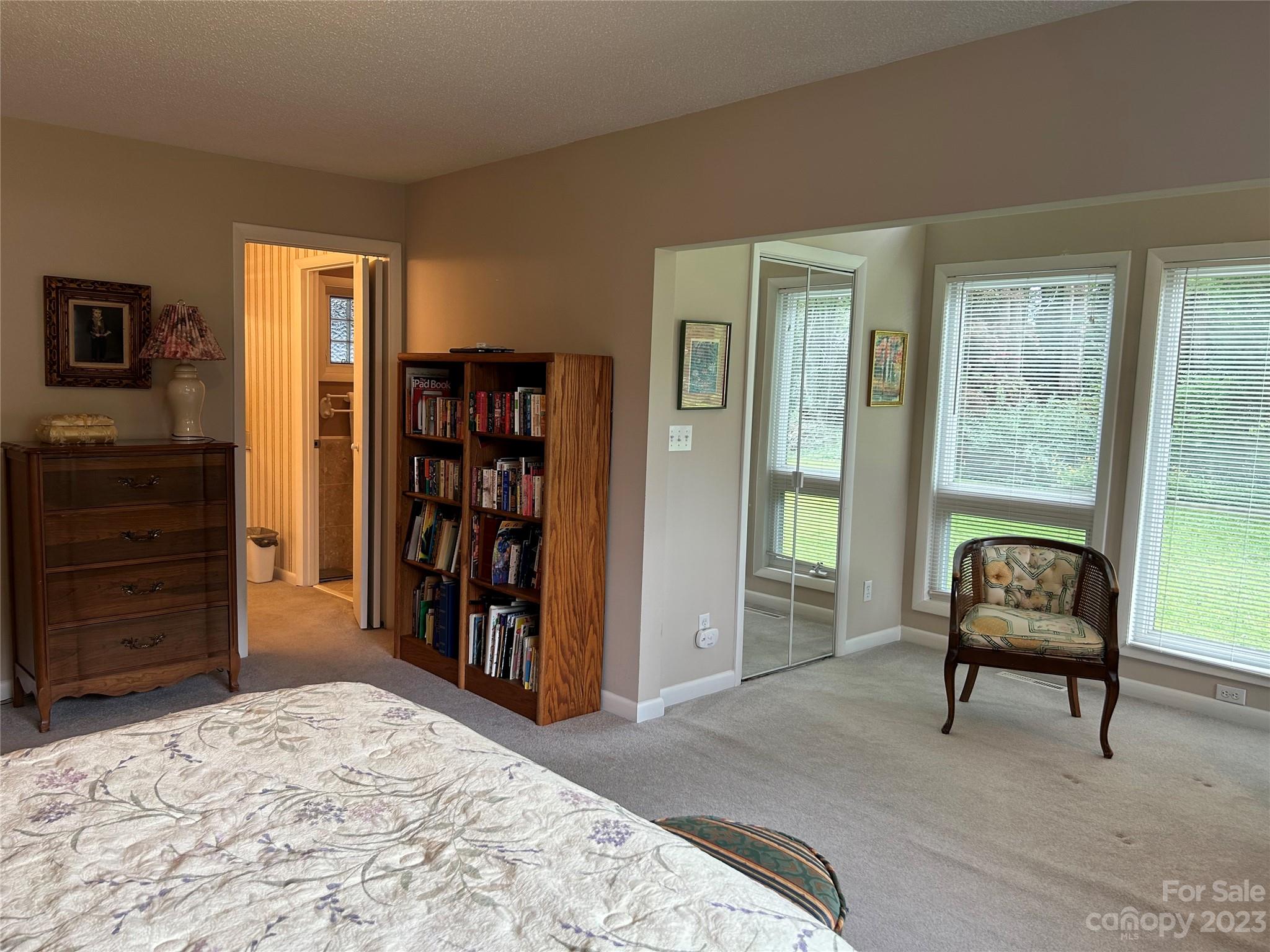428 Brandon Road Hendersonville, NC 28739 - Photo 27 of 48 a bed room with a bed and a television
